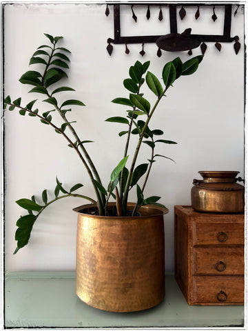 Solid brass planters